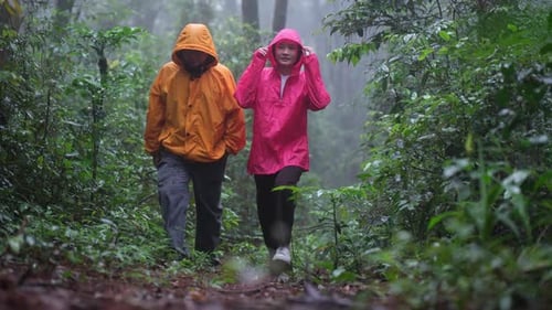 Two people wearing raincoats and backpacks are standing in a forest