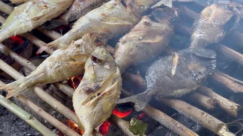 Grilling fish