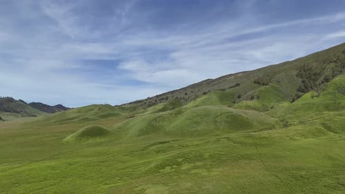 Scenic Aerial View of Green Rolling Hills