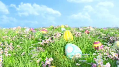 Vibrant Easter Eggs in a Green Field with Flowers Animation
