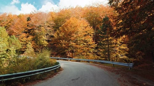 Mountain Road Traveled with Autumn Colors