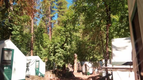 Rising shot over a wooden beam to reveal scattered tents in a forest. 4K