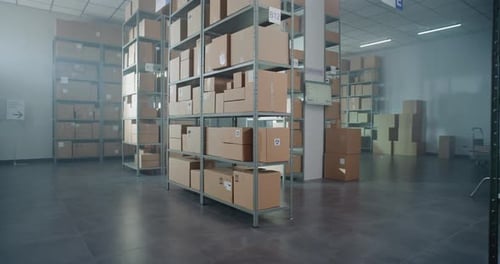 Installation de tri : stockage de la boutique en ligne avec commandes de commerce électronique dans des boîtes en carton