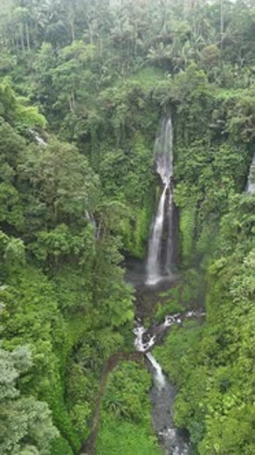 Lush Tropical Waterfall and Jungle Drone View