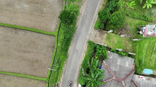 Drone skims over rice cultivated fields, motorcyclists passing by on narrow street