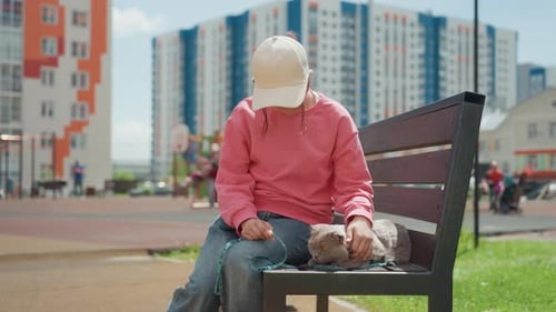 Child Sits On Bench With Dog In Urban Playground Area Calm Portrait Moment With Direct Gaze Soft