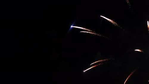 Fireworks Exploding in the Night Sky
