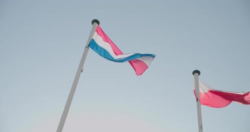 Flachwinkelaufnahme der Flagge Luxemburgs und Polens, die im Wind wehen. Kardanring