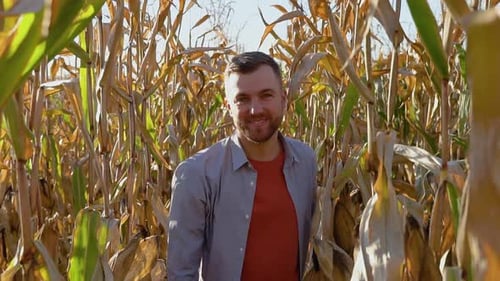 Confident Agronomist Walking Along Corn Field for Inspection