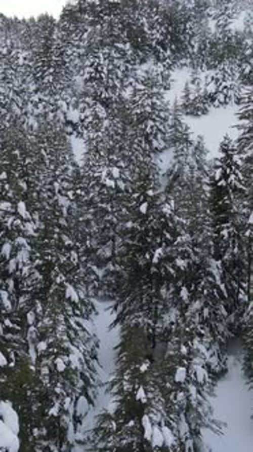 Drohnenansicht der gefrorenen Natur