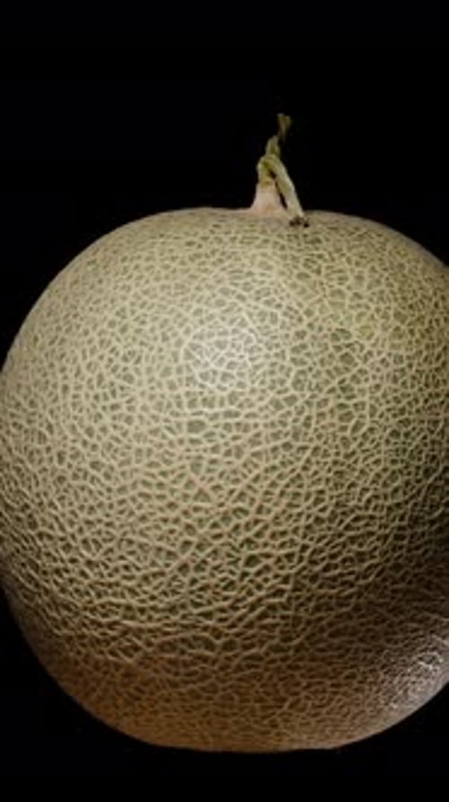 Vertikales Video. Ganze Melonenmelone, die sich nahtlos in einer Loop-Animation dreht
, isoliert auf Schwarz