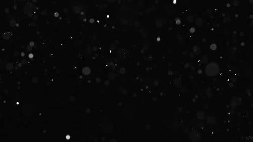Dust Particles