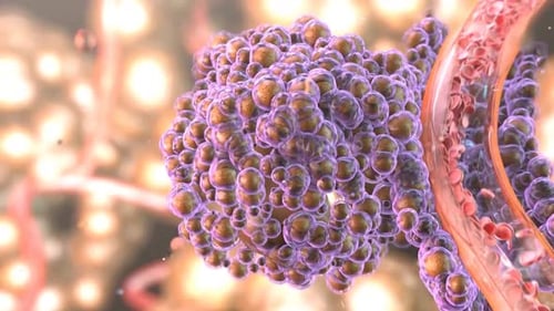 Viral particles with protein envelope and genetic material