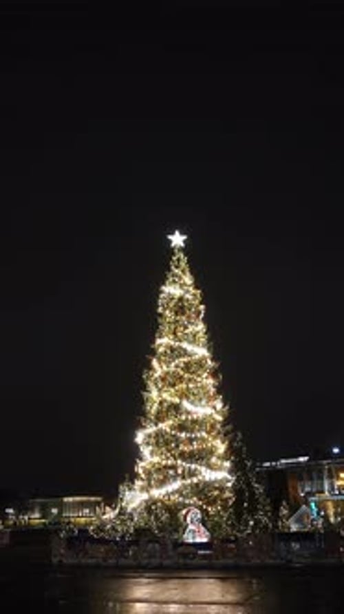 Christmas Tree Lights Illuminate the Night