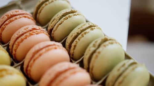 Colorful Macarons Displayed in Box, Close Up
