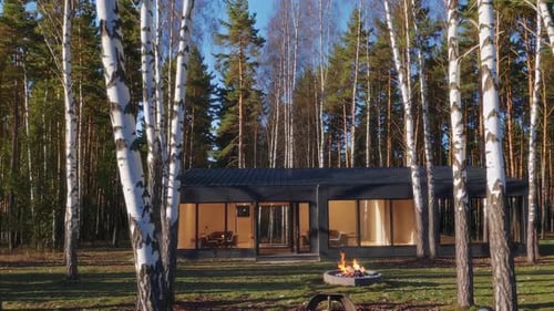 A Modern Cabin Nestled Amidst Birch Trees Perfectly Positioned in a Serene Forest Environment