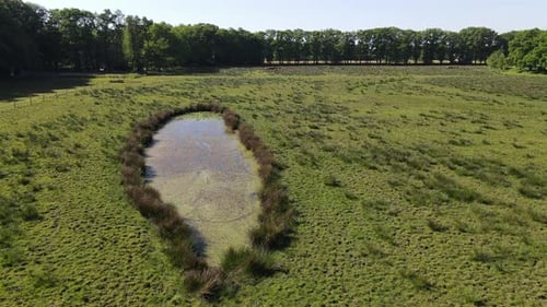 Drone shot of small pond in a field.