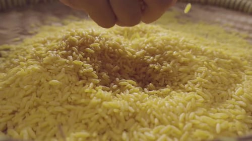 Hand Picking Grains of Yellow Rice