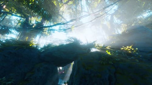Une jungle tropicale profonde dans l'obscurité