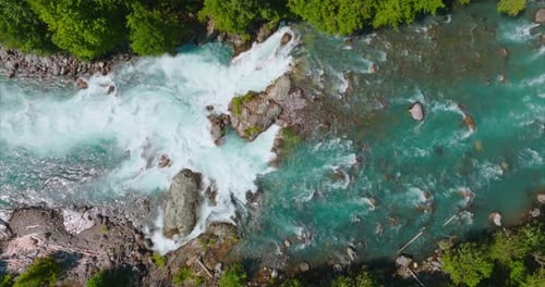 Top Down View of Fast Moving River Surrounded By Pine Forest Canada