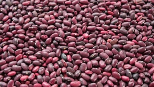 Pile of uncooked red kidney beans close up