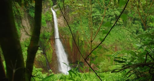 Tall waterfall Catarata del Toro drops into a lush green canyon in Costa Rica creating a scenic view