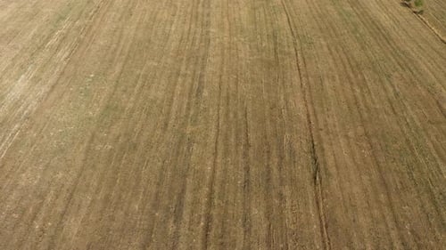 Flying above agricultural meadow and arable field aerial view