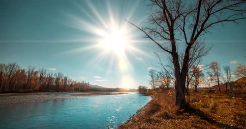 Mountain River Timelapse at the Summer or Autumn Day Time Wild Nature Clear Blue Water and Dry Trees