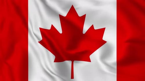 Realistic Waving Canadian Flag Video Background