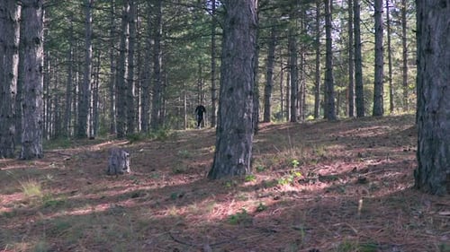 Athlete running in a forest. Man training in the woods. Fit young male jogging outdoors.
