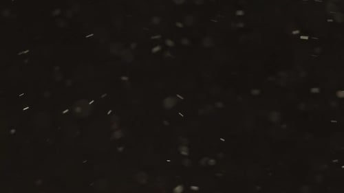 Particles Overlay Bokeh Circles Texture
