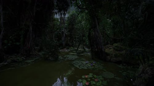 Dark Jungle Swamp Nature Fly-Through Animation