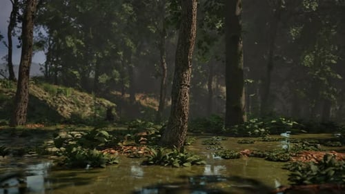 Rays of Light Falling Through the Mist and Trees in the Swamp