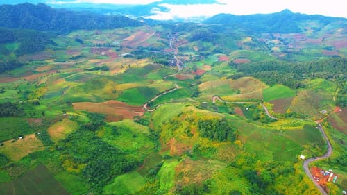 Lush Green Hills and Terraced Fields Aerial View