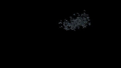 Flying Bat Swarm Loop Animation for Halloween