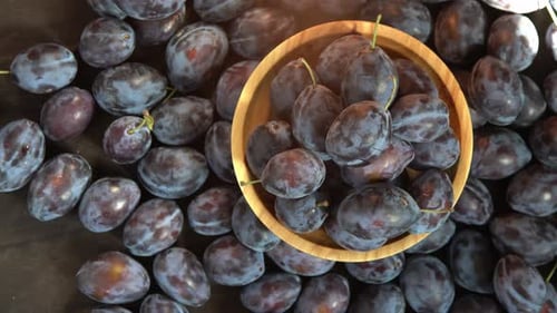 Plum Variety Hungarian Fruit Harvest on the Table in the Kitchen Autumn Blue Plum Vitamin Food