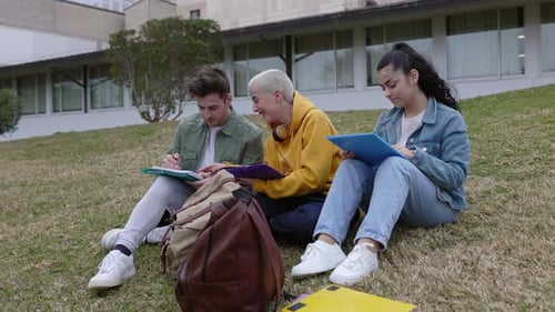 University Students Studying Together Sitting on the Grass at College Campus