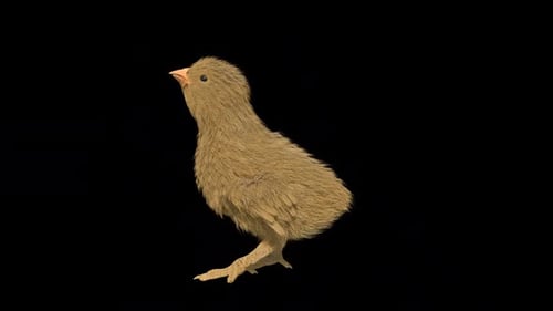 Chick Drink