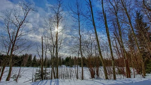 Time-lapse of low sun in winter in the forest between clouds, day to night transition
