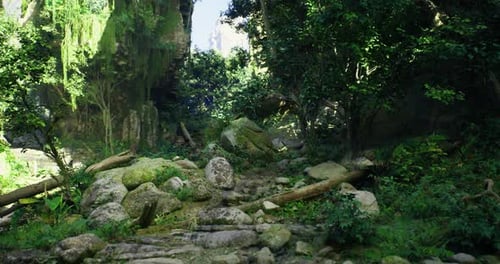 Lush Green Landscape in a Serene and Tranquil Forest with Rocks and Foliage