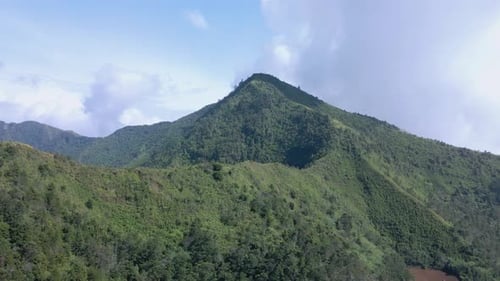 Aerial view of beautiful mountain landscape. Mountain covered by green trees of forest in sunny day.