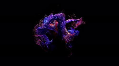 Abstract Concept A Whirlwind Cloud of Colored Moving Particles on Black Background Blue Purple Pink