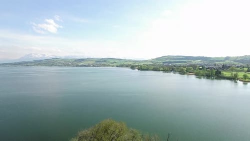 Cinematic Aerial View of Tree Island in the Middle of a Lake Landscape Scenery