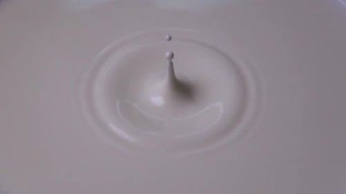 A Drop of Creamy White Milk Falls and Forms Ripples in Slow Motion