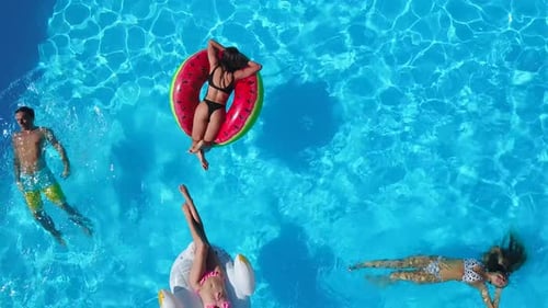 Aerial Friends Chilling in Swimming Pool with Inflatable Flamingo Swan Mattress Happy Young People