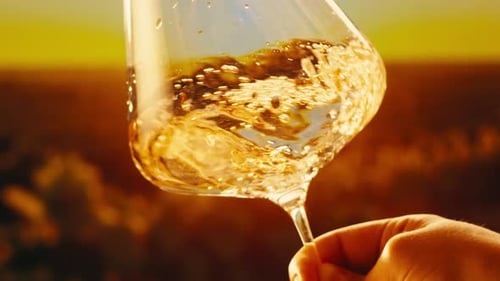 Orange or White Wine Bottle and Glass Against a Sunset in a Peaceful Vineyard Pouring of Ecological