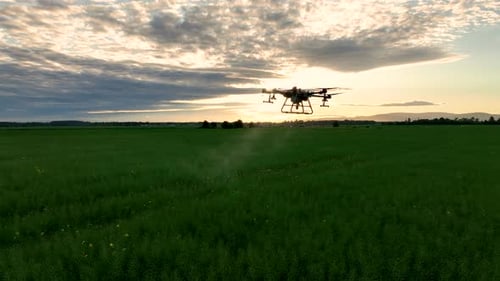 Drone Sprays Crops on Green Field at Sunset