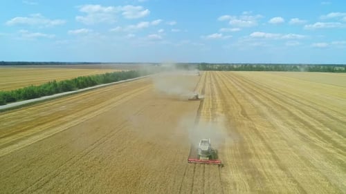 Aerial of Combines Working in the Field Harvesting Crops Gathering Season