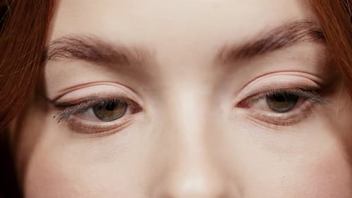 Eye Close Up of Beautiful Woman