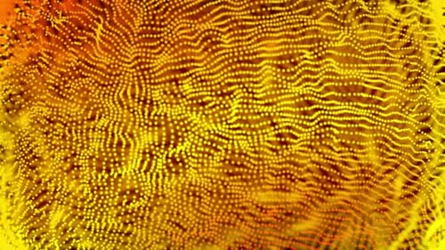 Yellow background